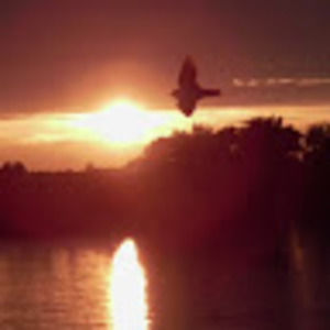 Meet your Posher, Mary christine